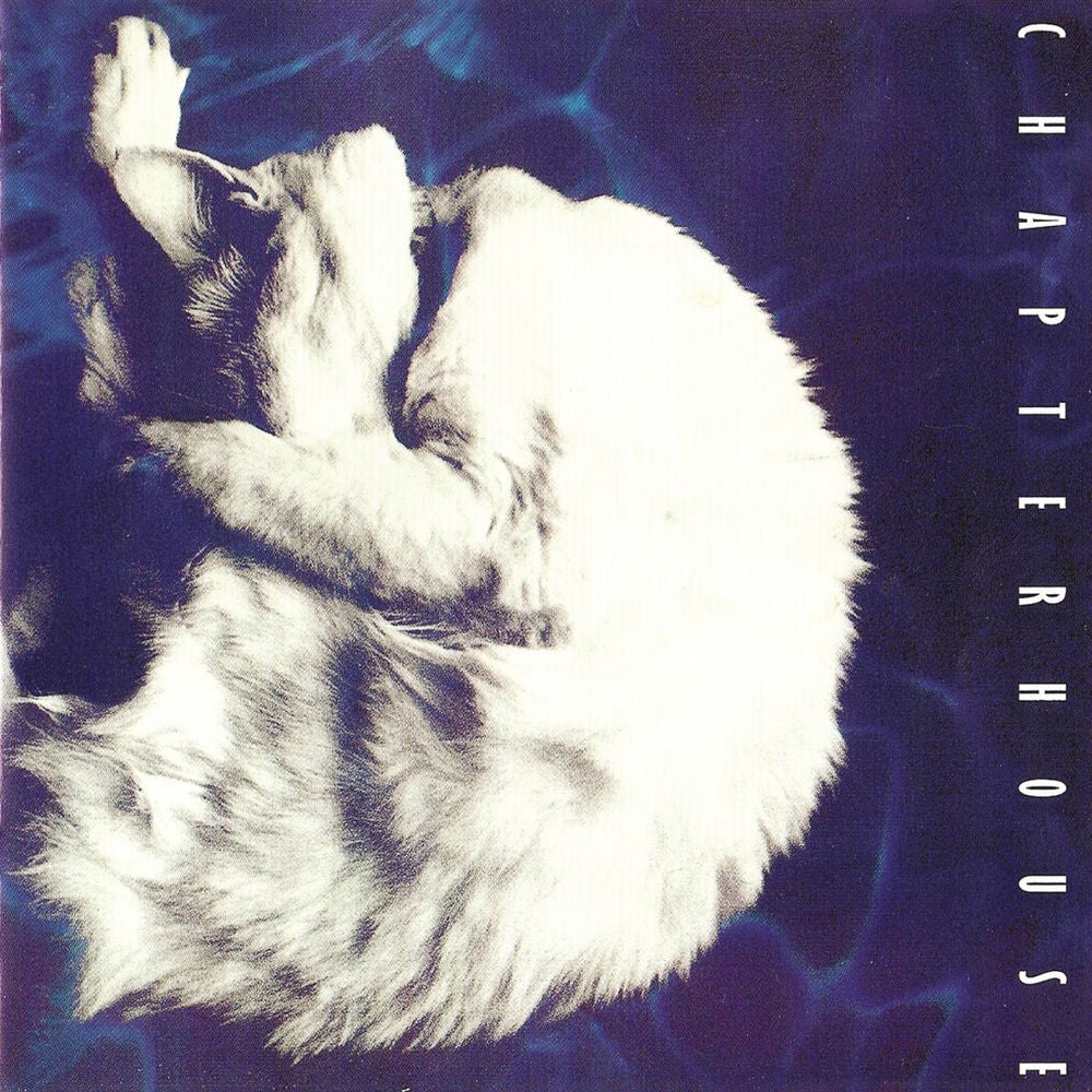 Microcastle [Vinyl] cover