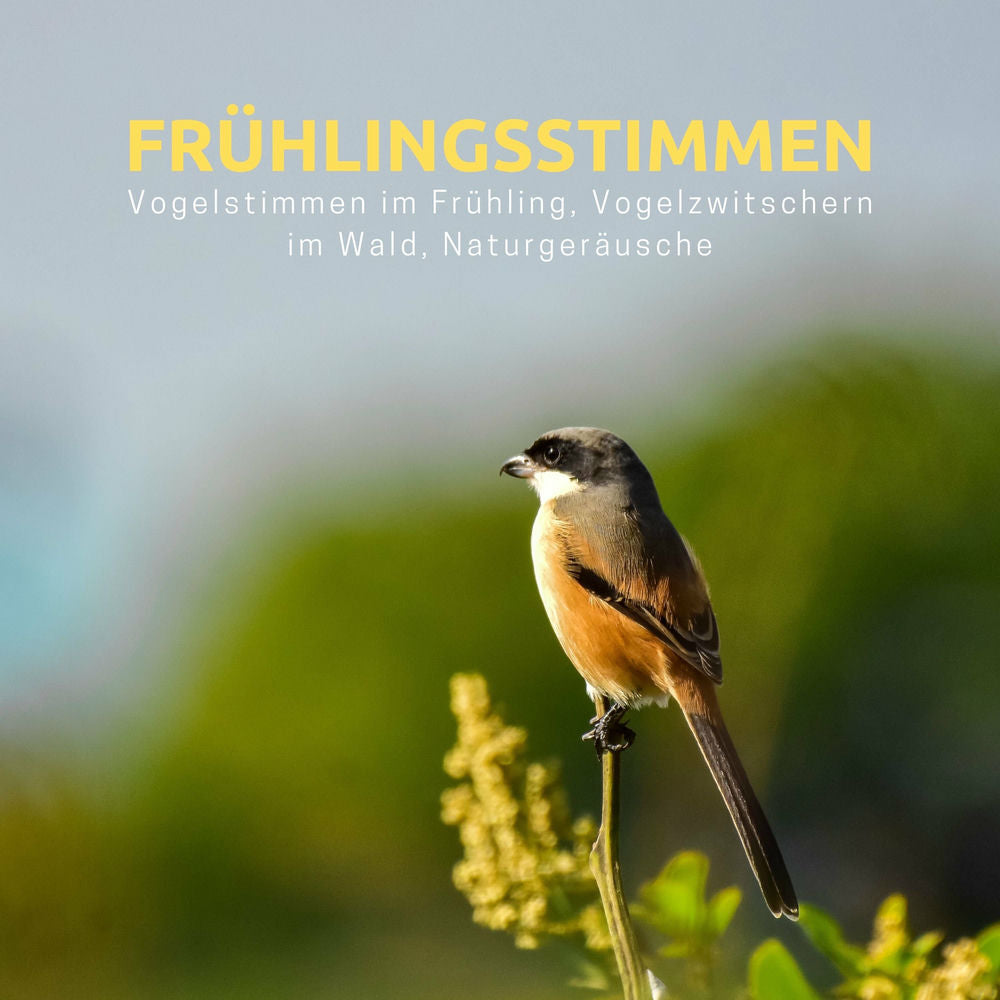 Fruhlingssturme cover