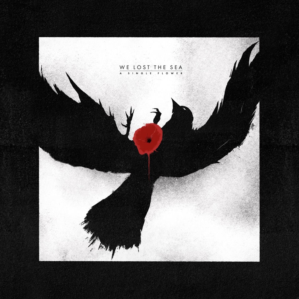 Here Is Everything - Black Vinyl cover