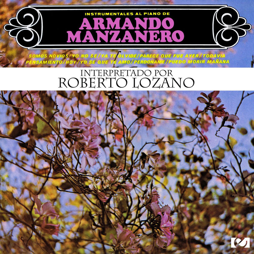 Instrumentales Al Piano De Armando Manzanero cover