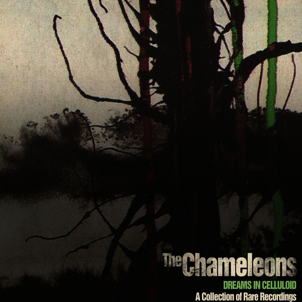 Rare Cello Recordings cover