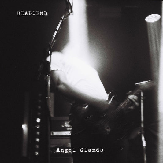 The Glands cover