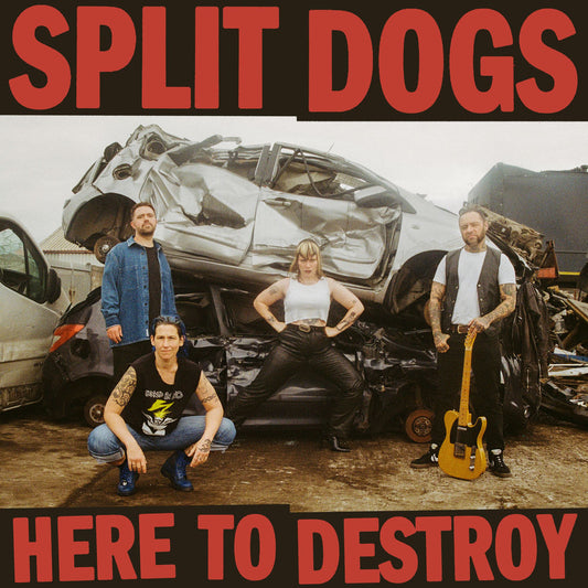 Here To Destroy cover