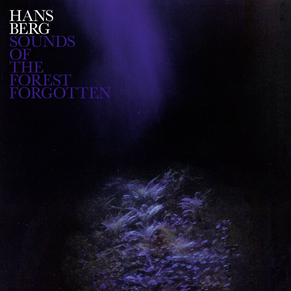 Sounds of the Forest Forgotten cover