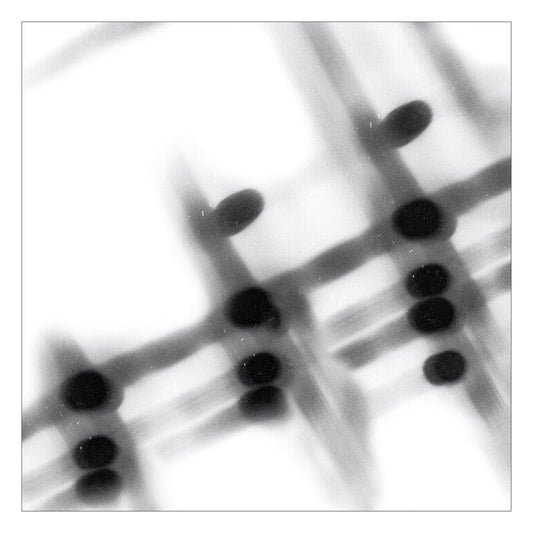 40:13.5 cover