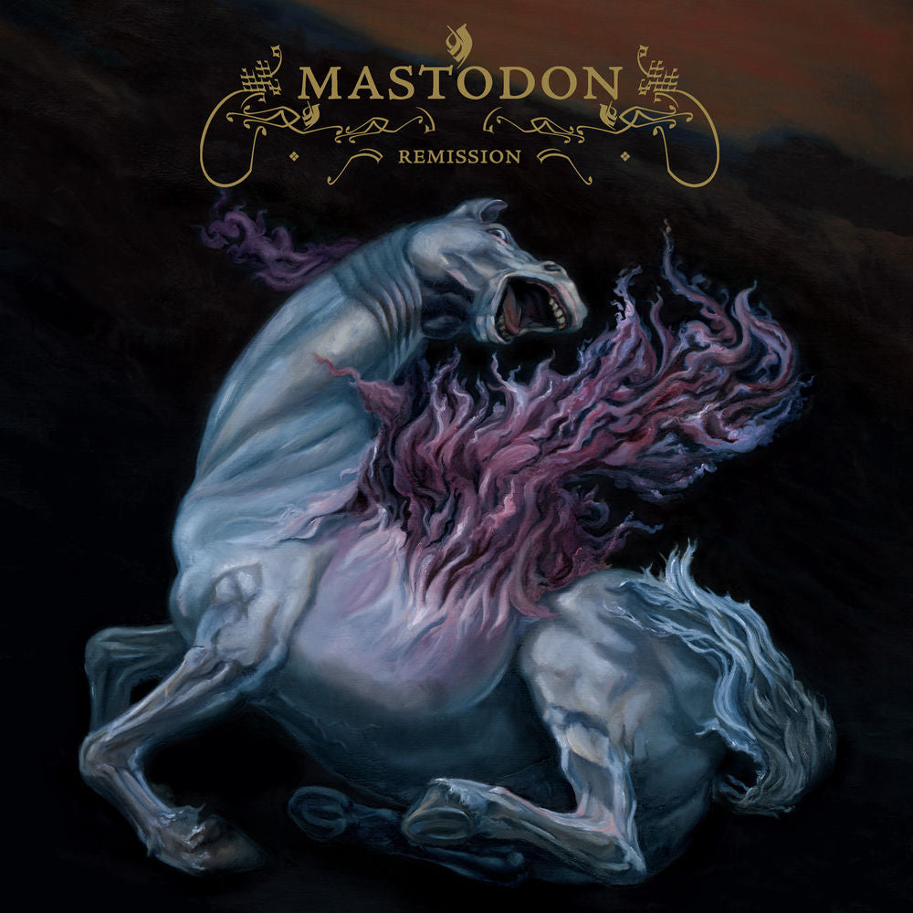 Remission cover