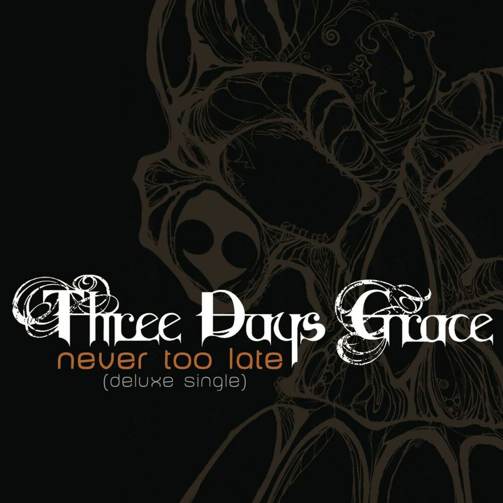 Never Too Late cover