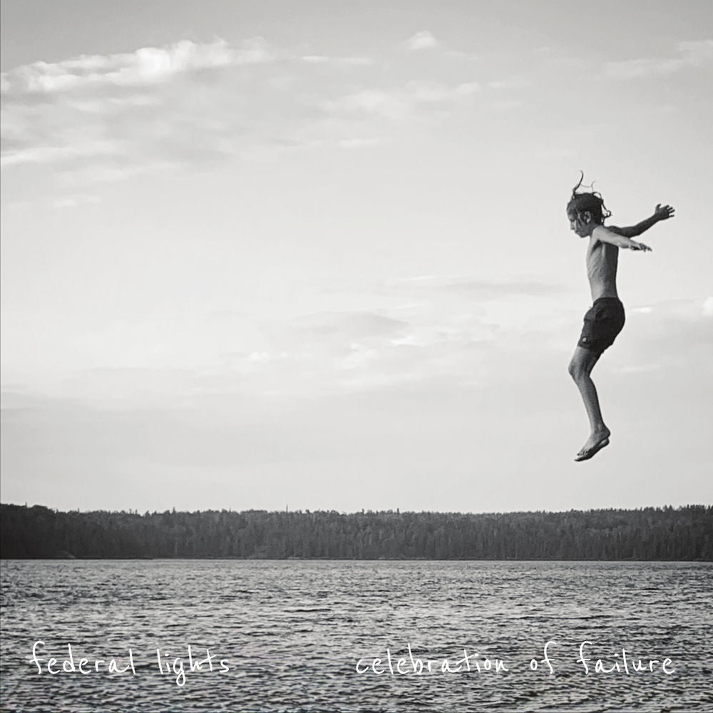 Celebration Of Failure cover