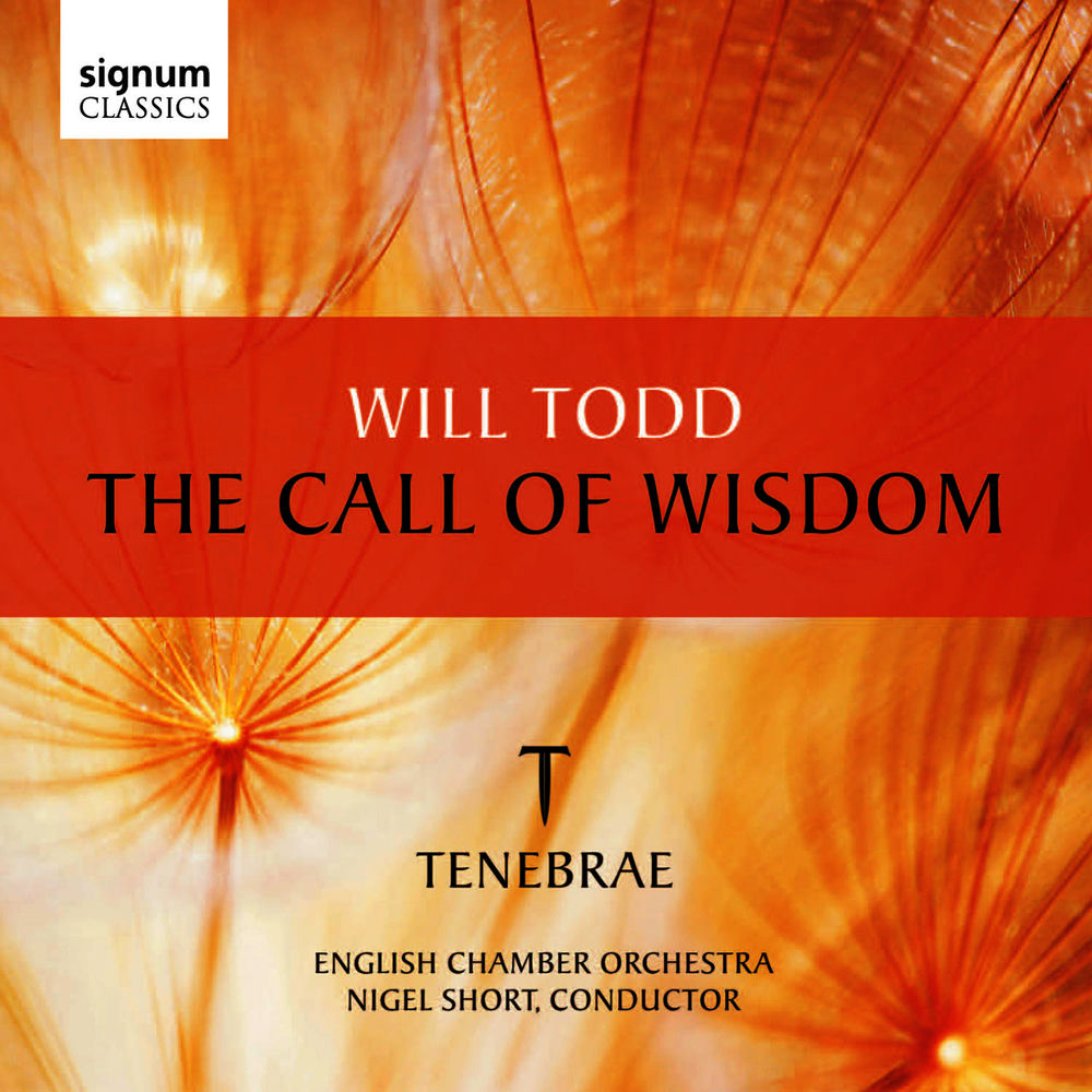 Call of Wisdom cover