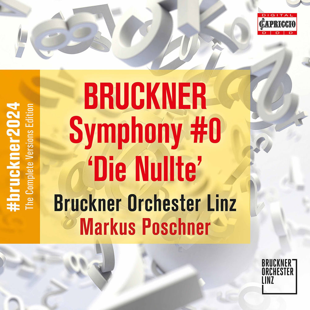 Symphony in D Minor Nullte Wab 100 cover