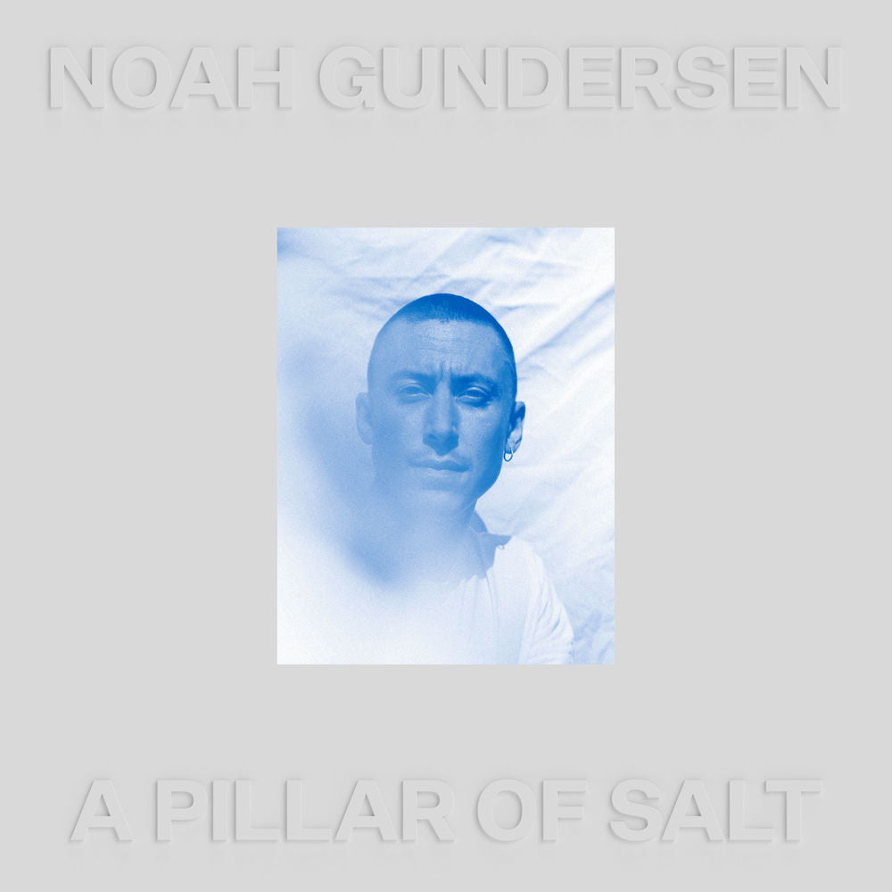 A Pillar of Salt cover