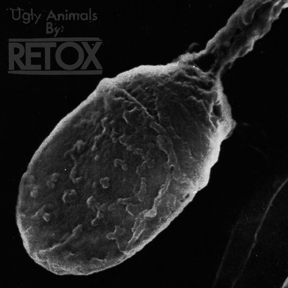 Ugly Animals cover