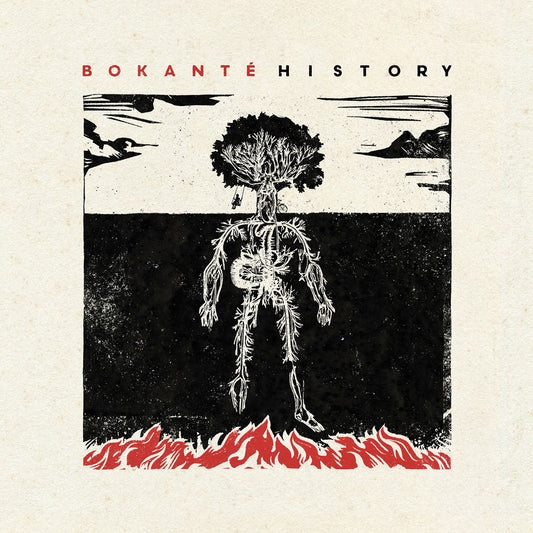 History cover