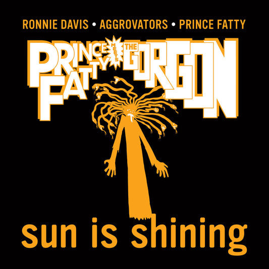 Sun Is Shining cover