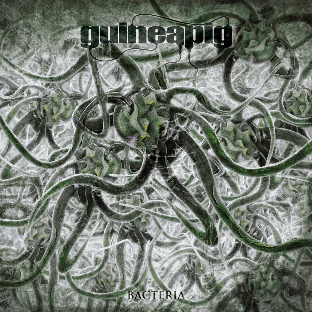 Guinn (Remastered Edition) cover
