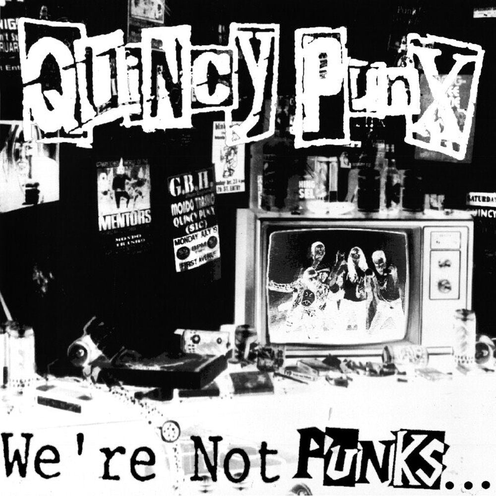 We're Not Punks...but We Play Them On Tv cover