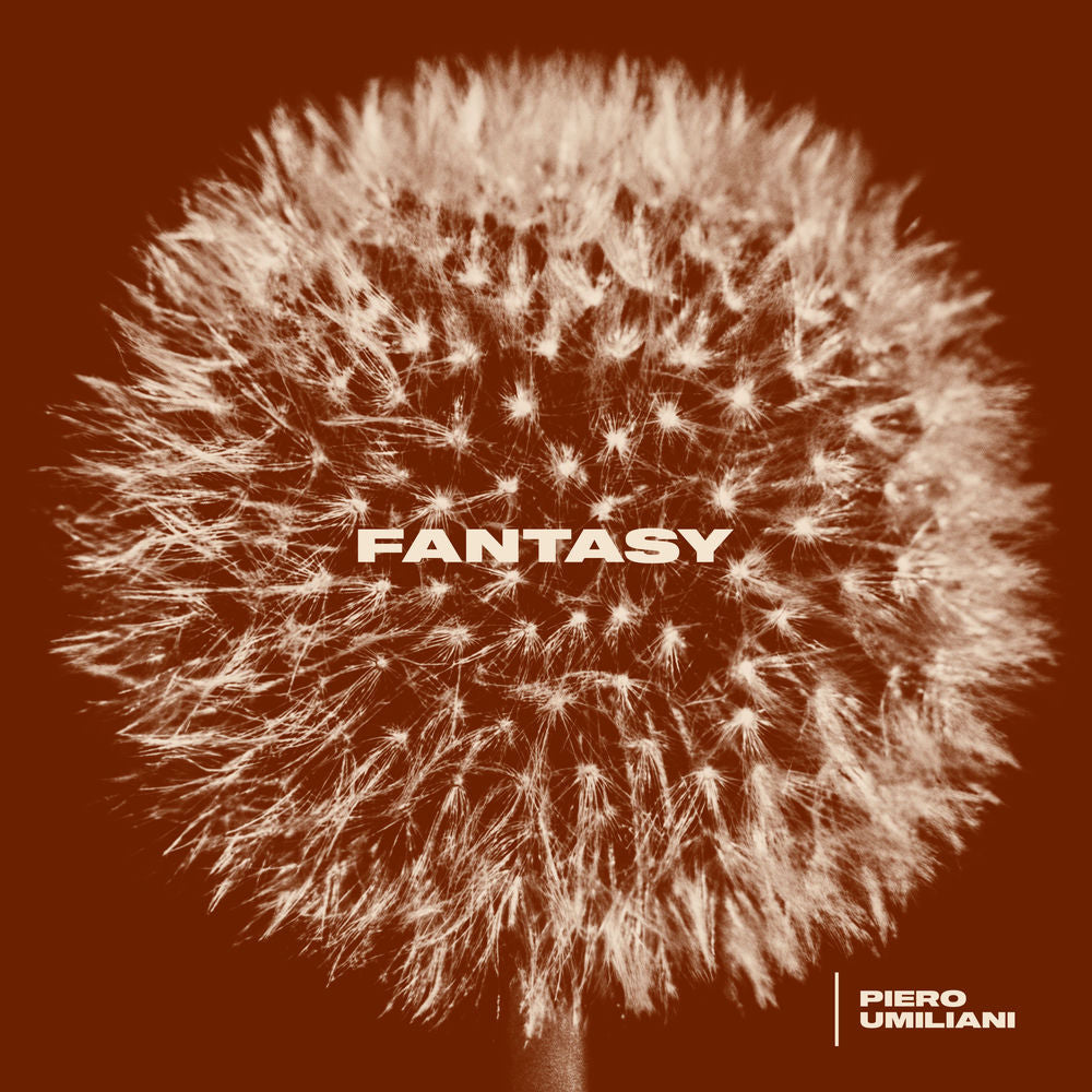 Fantasy cover