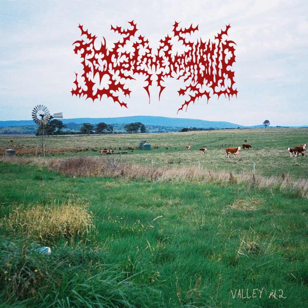 Local Valley cover
