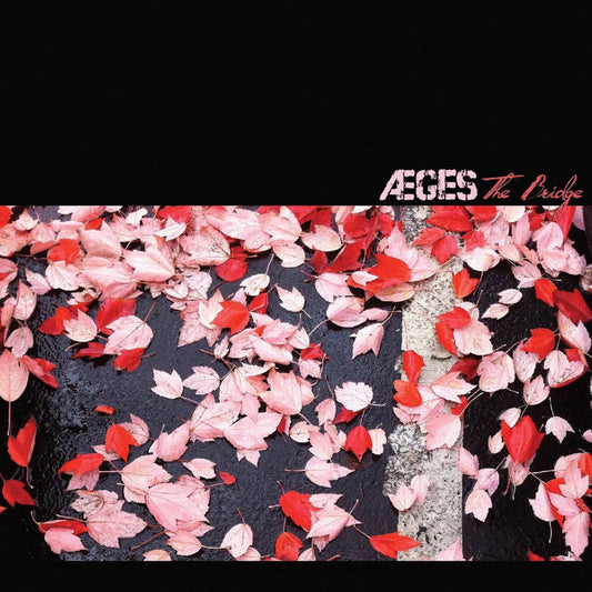 Angles cover