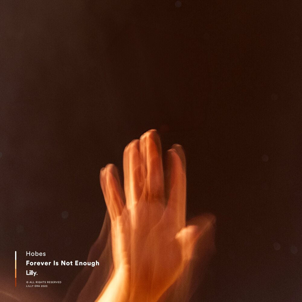 Forever Is Not Enough cover