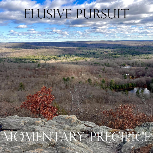 The Elusive Moment cover