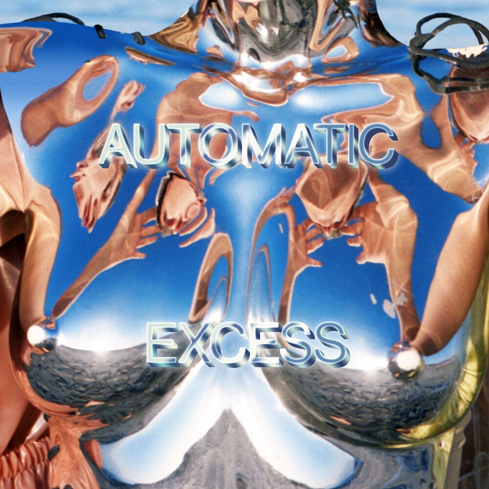 Excess [VINYL] cover