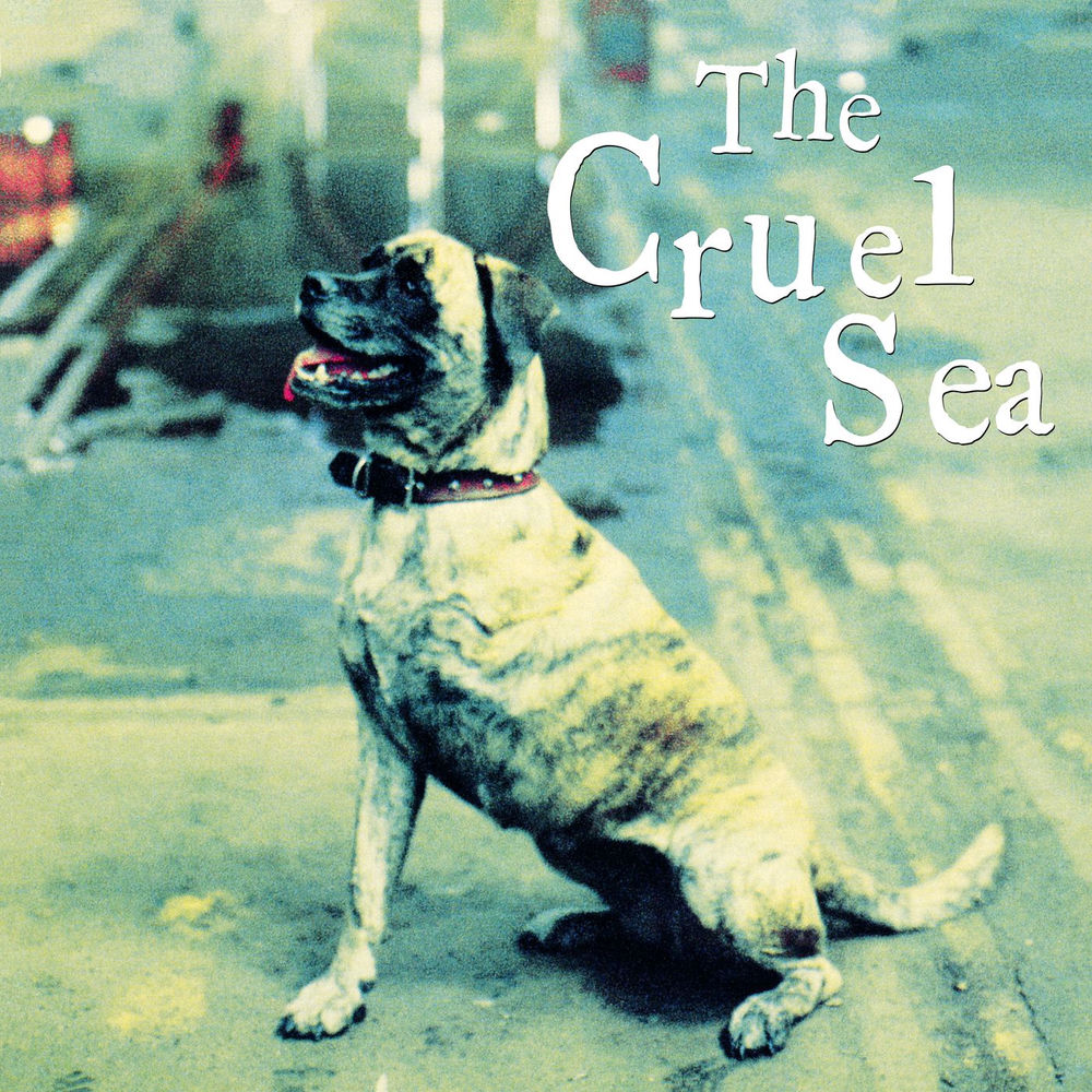 Three Legged Dog: 30th Anniversary cover