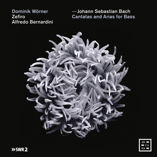 Bass Cantatas & Arias cover