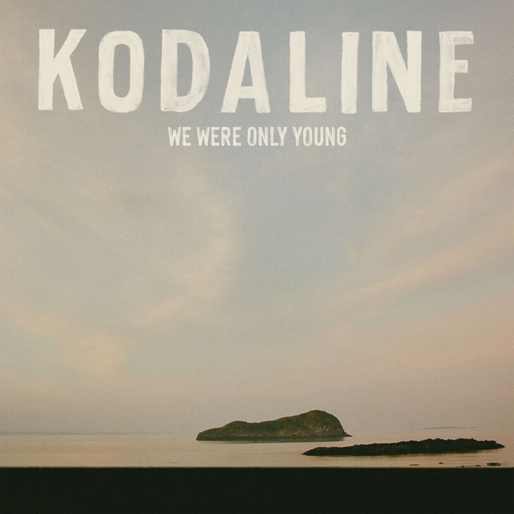 We Were Only Young[LP] cover