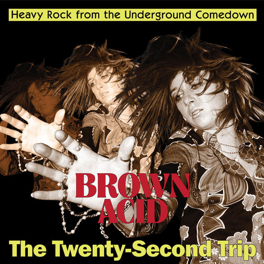 Brown Acid - The Twenty-Second Trip (Various Artists) cover