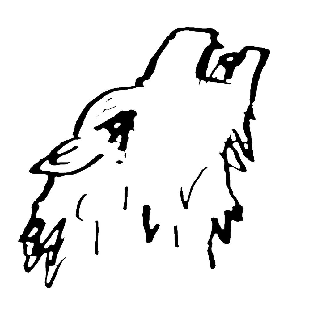 Rock Wolves cover