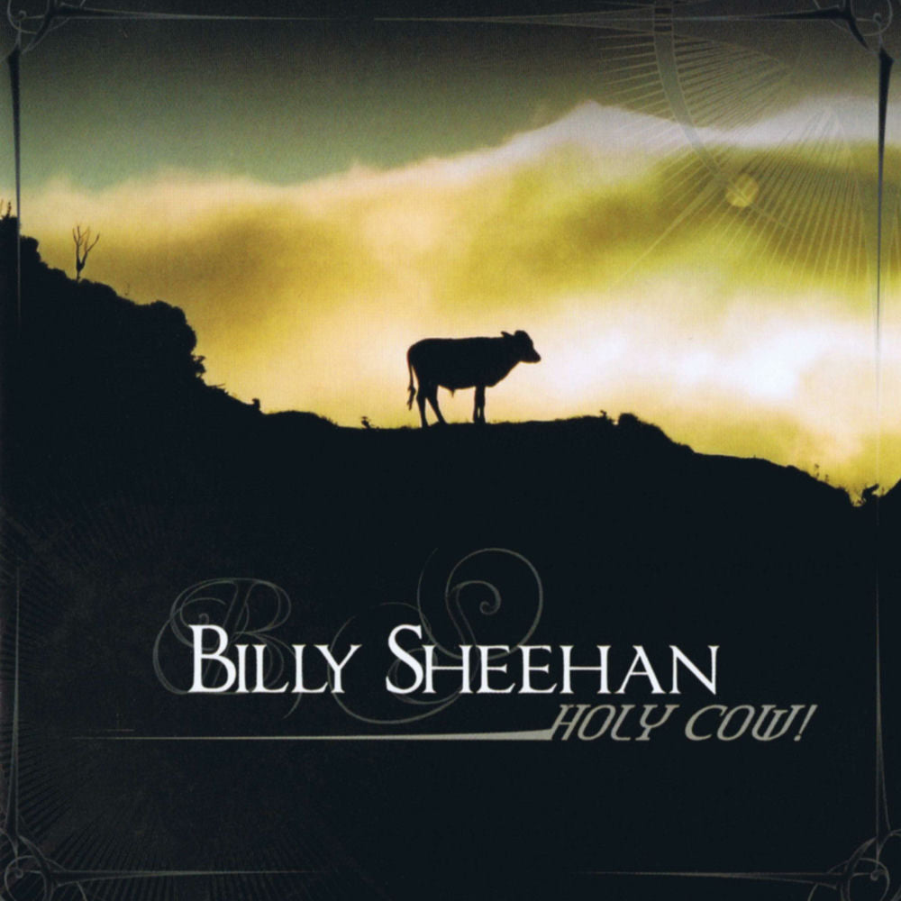 Holy Cow cover