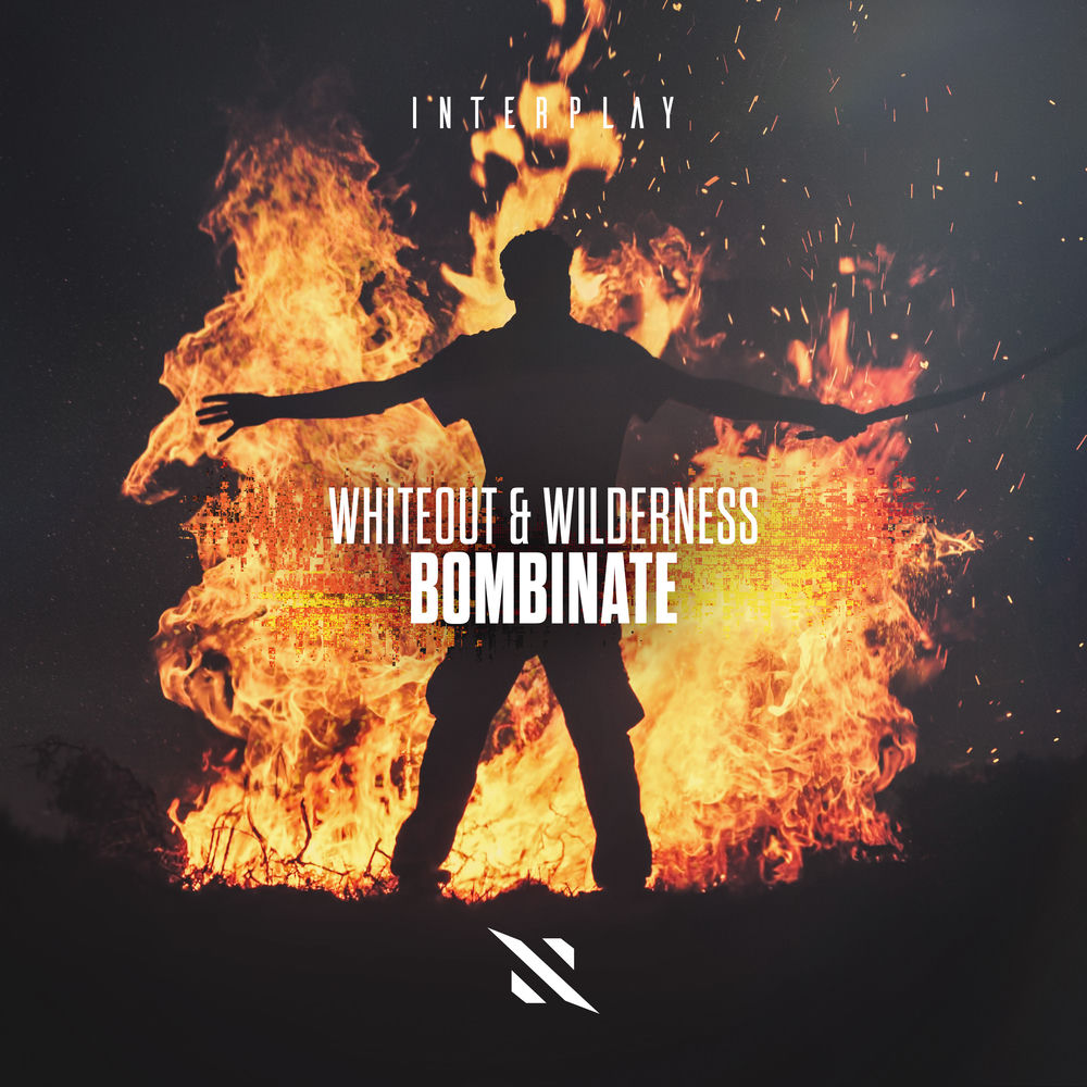 WHITE WILDERNESS cover