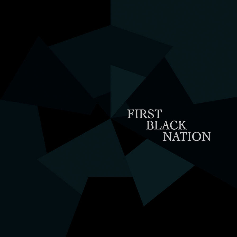 First Black Nation a Story of the Haiti Earthquake cover