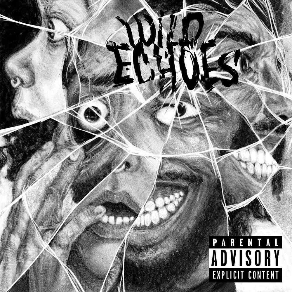 Wild Echoes cover