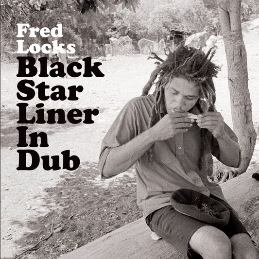 Black Star Liner In Dub cover