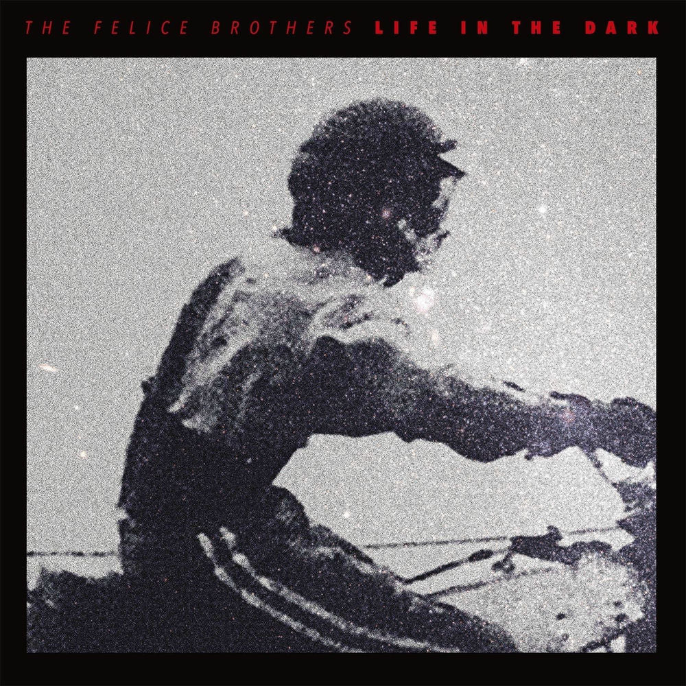 Life In The Dark cover