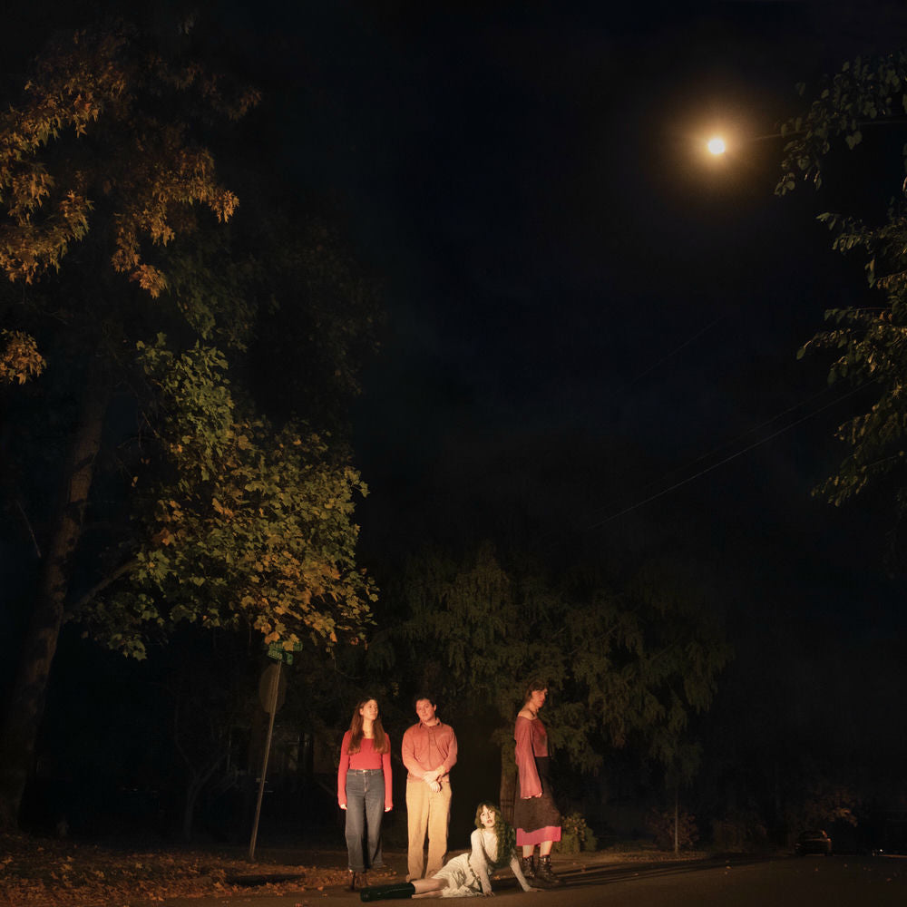 Spring Grove [Vinyl LP] cover