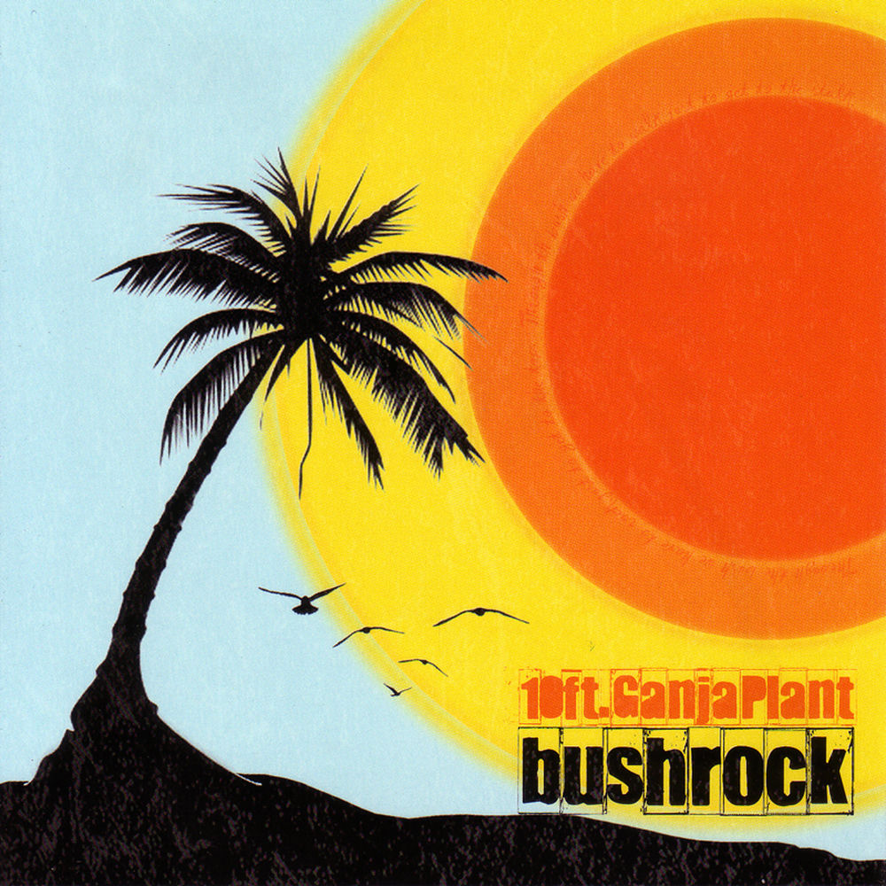 Bush Rock cover