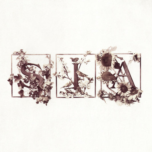 Colour The Small One [LP] cover