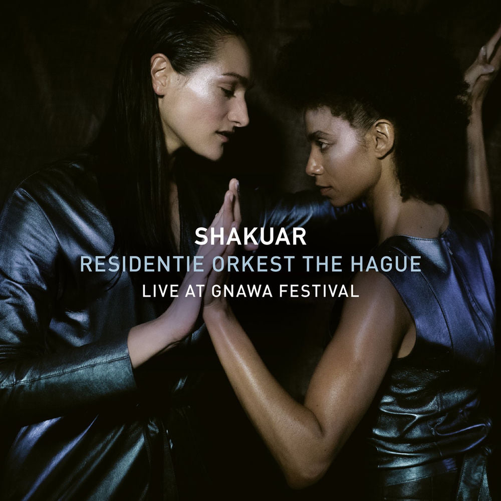 Live at Gnawa Festival cover