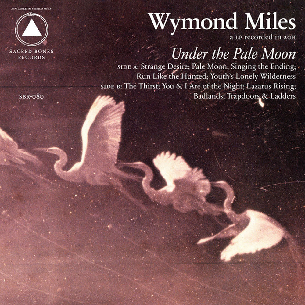 Under the Pale Moon cover