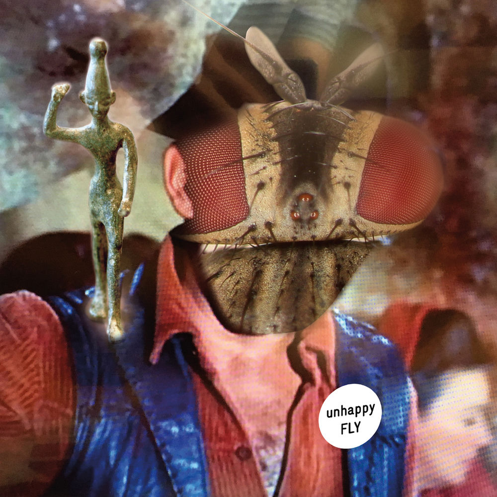 Unhappy Fly cover