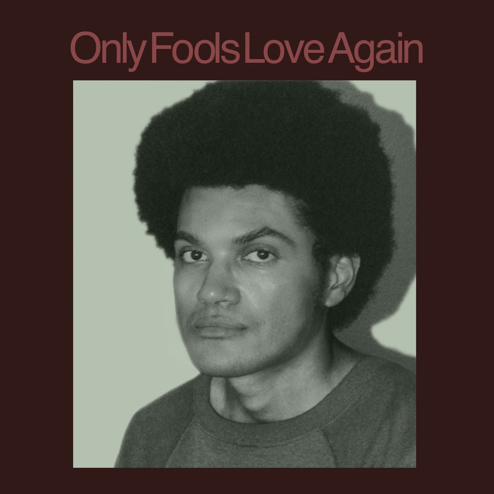 Only Fools Love Again cover