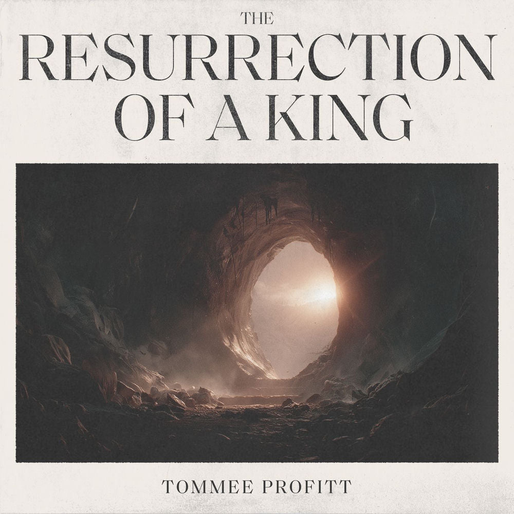 The Resurrection of a King[Rainfall 3 LP] cover