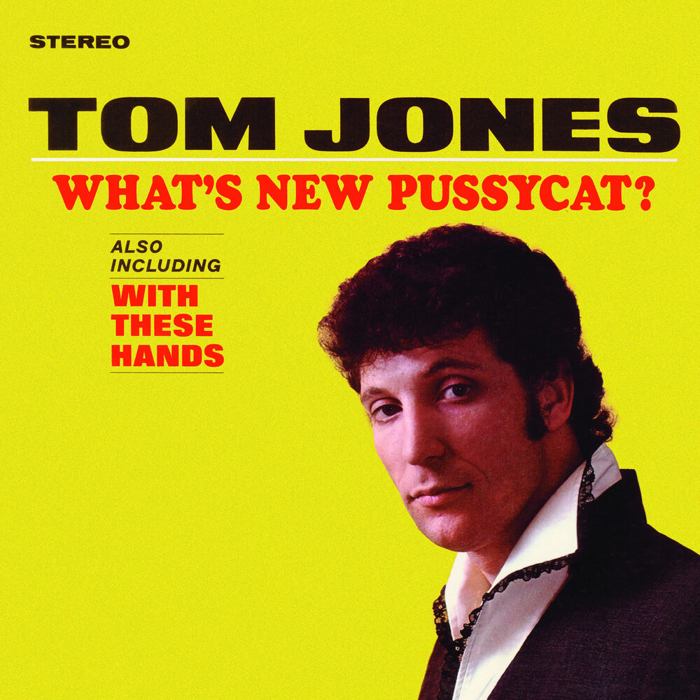 What's New Pussycat cover