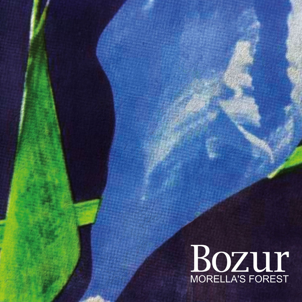 Bozur cover