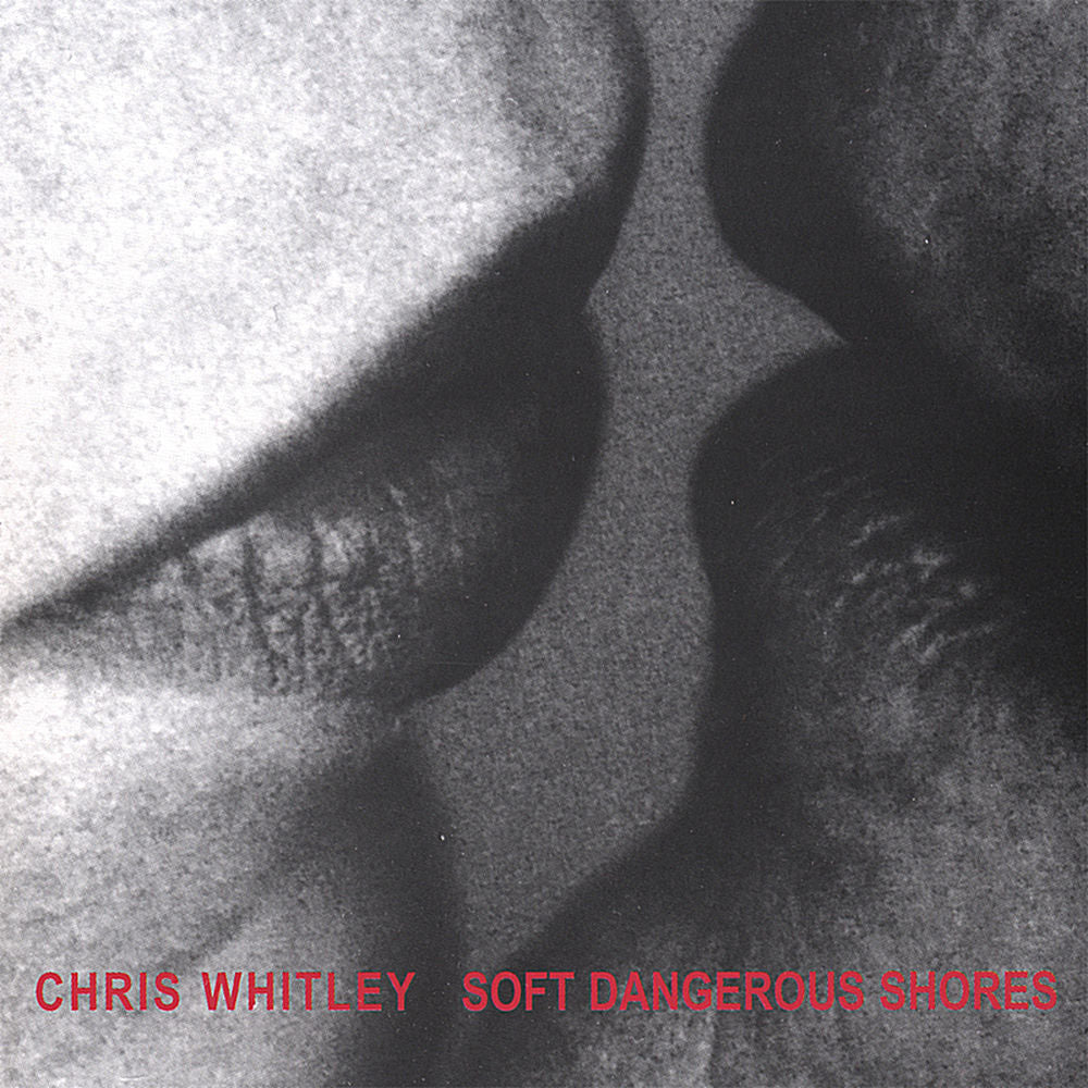 Soft Dangerous Shores cover