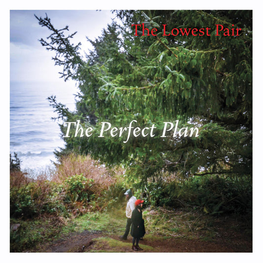 The Perfect Plan cover
