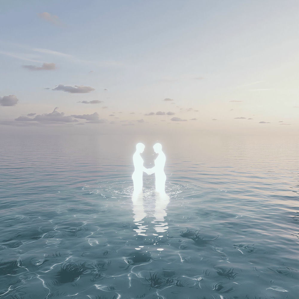 Lies cover